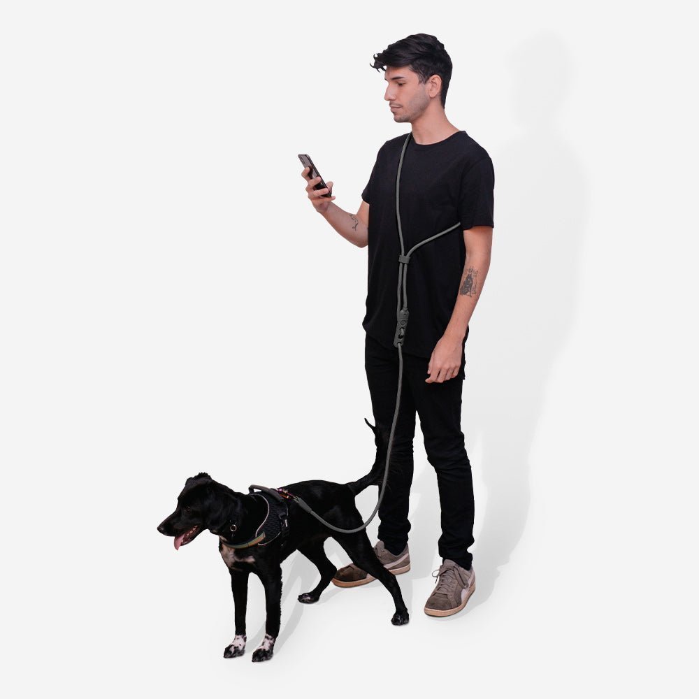 Titanium Grey | FlexiWalk Leash - Image 3